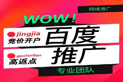 信息流广告投放公司案例实战技巧
