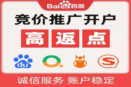 成功运用SEM技术提升网站流量的案例研究